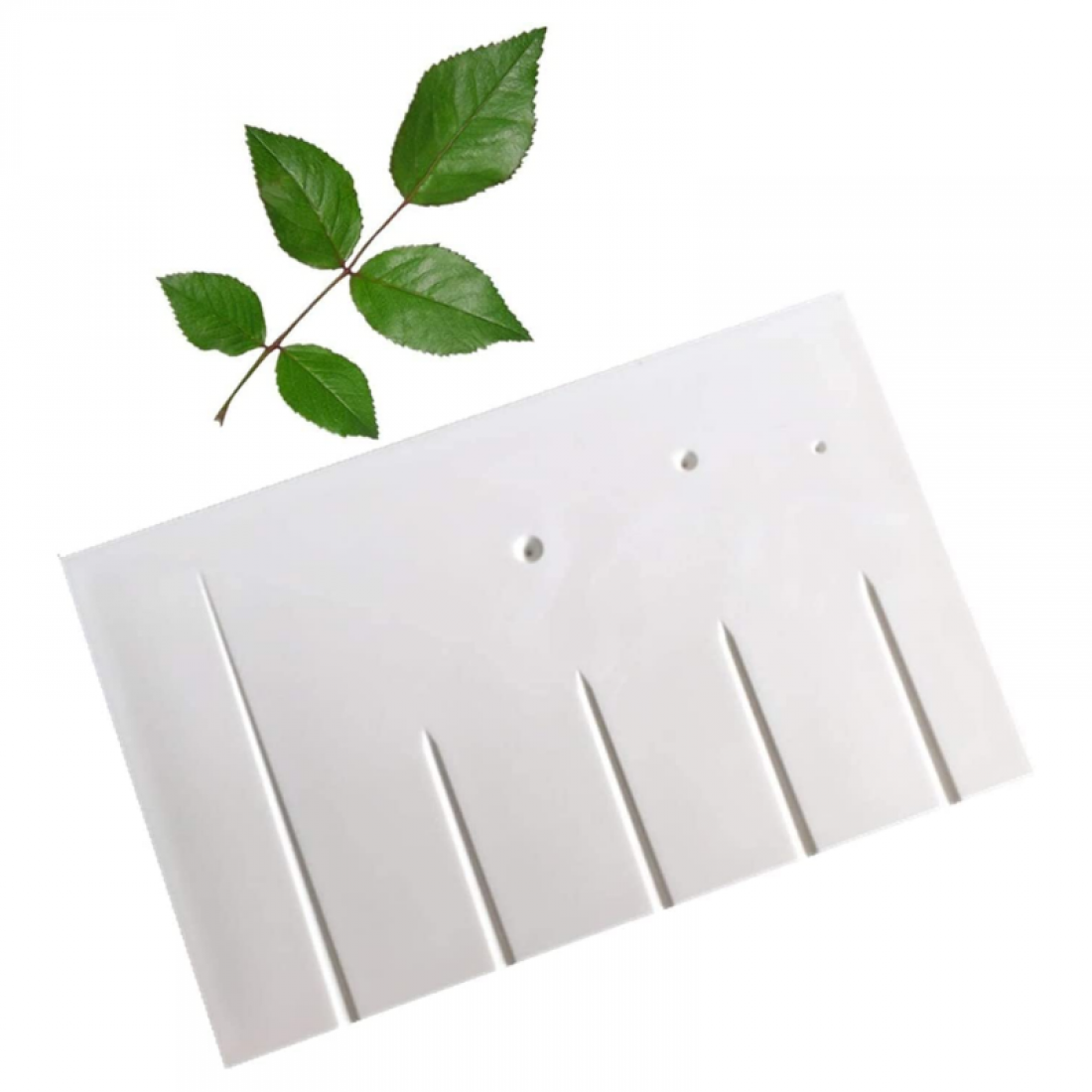 petal-and-leaves-veining-board-1-1100x1100-1.png